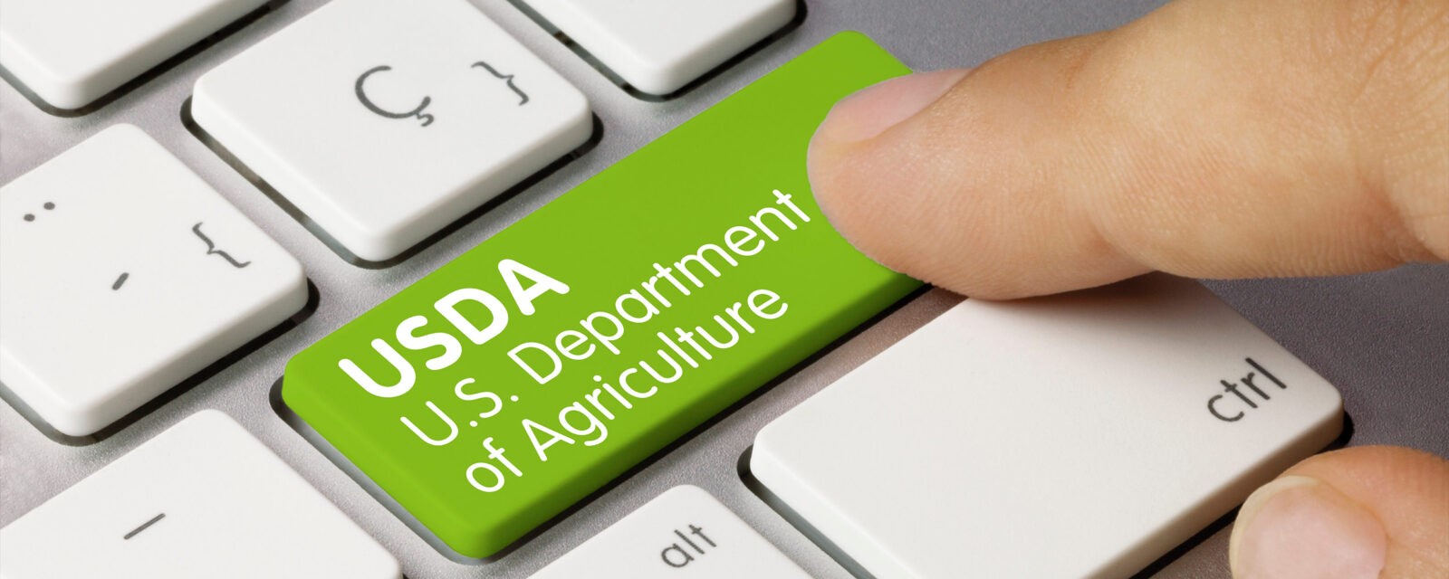 USDA equipment export inspection Atlantic Project Cargo